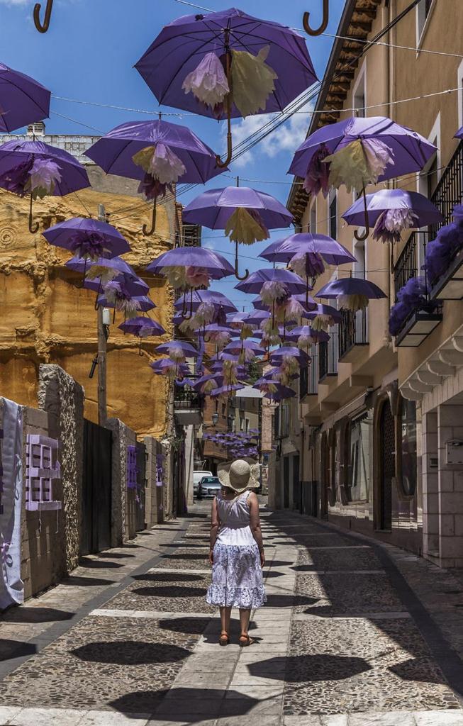 Apartamentos Tierra Lavanda Brihuega Exteriér fotografie